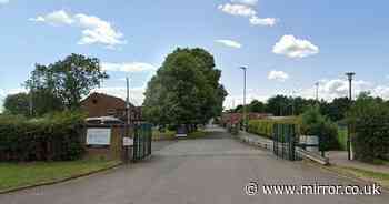 Schoolboy 'degloves' his arm on fence after 'trying to run away from fight with fellow pupils'