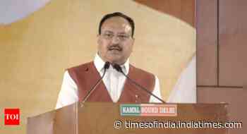 'Haryana win reflects voters' trust': BJP chief Nadda hails PM Modi after win in assembly polls