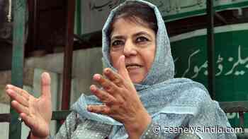 `People Have Given Clear Mandate`: PDP Chief Mehbooba Mufti On J-K Election Results