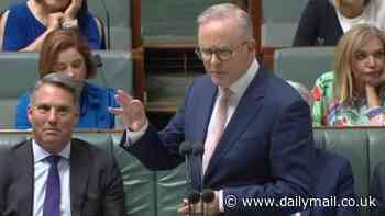 Anthony Albanese issues a grovelling apology after shocking six-word Tourette's comment on the floor of Parliament