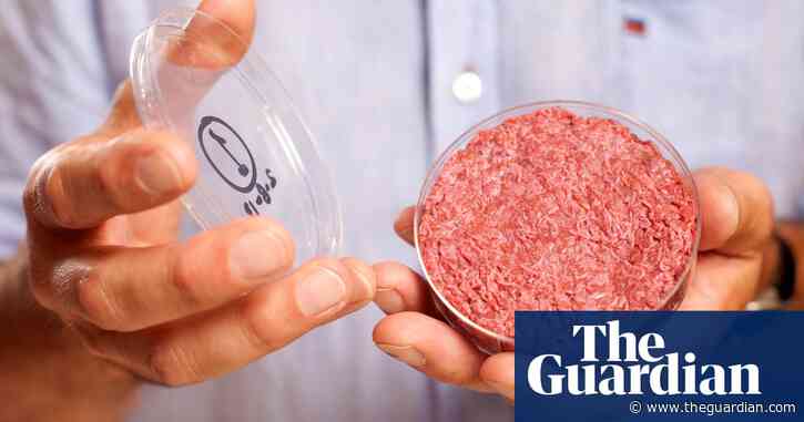 Lab-grown meat could be sold in UK in next few years, says food regulator