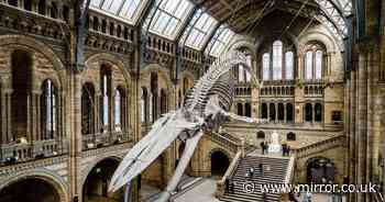 Natural History and Science museums security guards vote to strike over wages