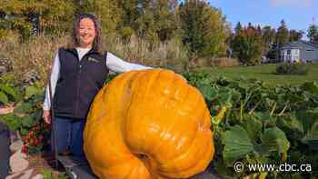 WATCH | Great gourds: P.E.I.'s giant pumpkin growers nervous before this year's weigh-off