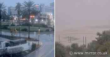 Hurricane Milton WATCH LIVE: Florida webcam live streams as Cat 5 killer storm wreaks havoc