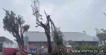 Hurricane Milton: Harrowing video shows scale of tornado damage as whole streets destroyed