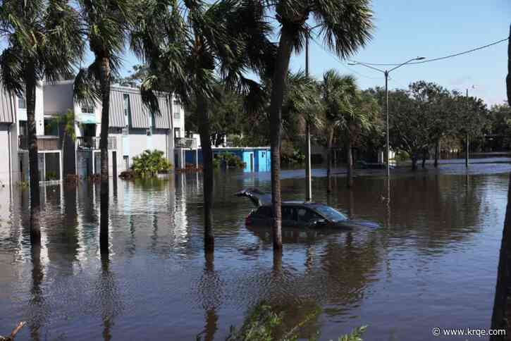 ‘Gators, stingrays, snakes’: Floridians urged to avoid floodwaters