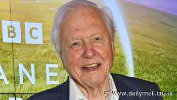 BBC to make major change to David Attenborough's nature documentaries in the hope of cutting costs and competing with streaming giants