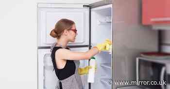 You may be neglecting important cleaning task each month - cleaning expert weighs in