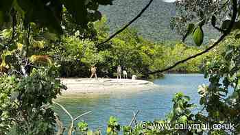 Young Aussies called out for 'stupid' act just metres from croc-infested waters near Myall Creek at Cape Tribulation in northeast Queensland