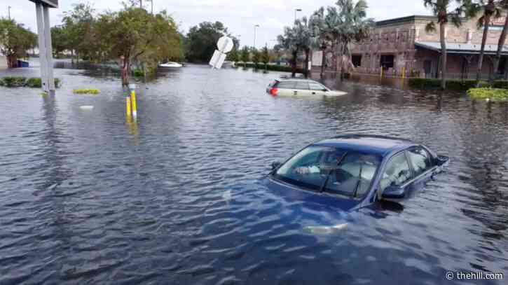 House Democrats press tech leaders to curb hurricane misinformation  