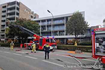 Brandweer blust brand op balkon van serviceflat in Tongeren