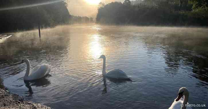 Met Office warns Arctic blast will send temperatures below zero this weekend