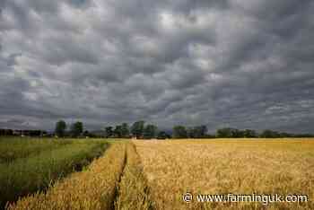 UK harvest results variable due to challenging weather, AHDB concludes