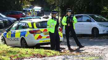 Search for man, in his 60s, who went missing when rowing boat capsized in River Thames continues