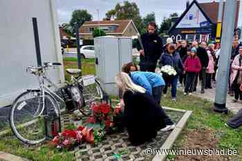 Herdenkingsbord onthuld voor verkeersslachtoffer Nikita (16): “We hadden vandaag je 23ste verjaardag moeten vieren”