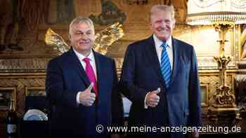 Während Ungarns EU-Ratsvorsitz: Orban rührt Werbetrommel für Trump und will „Champagner öffnen“