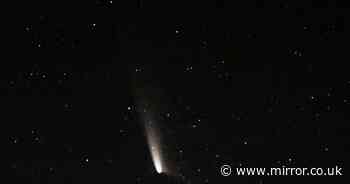 How to see Comet A3 if you missed it - but you only have days left