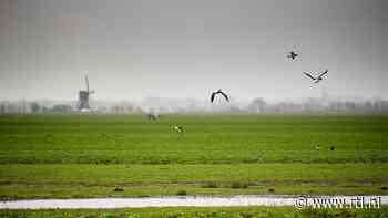 27 titels op longlist voor Natuurboekenprijs 2024