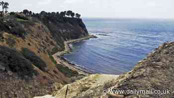 Terrifying tactics of notorious local surfer gang 'Bay Boys' who took over stunning California coastline