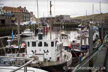 Scottish Government ‘floundering’ on fisheries plans, marine charity says