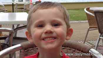 William Tyrrell's biological grandmother makes shock disappearance confession: 'I hid them'