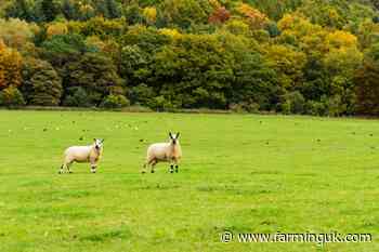 &#163;158m in BPS advance payments made to over 15,500 Welsh farms