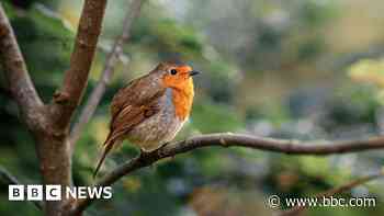 Your pictures of Scotland: 4 - 11 October