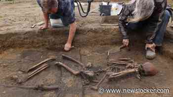 Vijftig skeletten uit Vikingtijd in 'uitzonderlijke staat' opgegraven in Denemarken