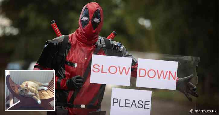 Man dons Deadpool suit to warn drivers to slow down after his cat was killed