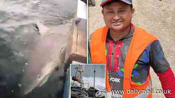 Angry locals get revenge on shark that attacked farmer in seaside town