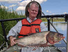 WFF Fisheries Continues to Monitor Invasive Carp Species