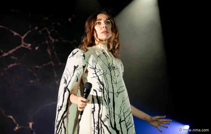 PJ Harvey announces Australia and Japan shows for 2025