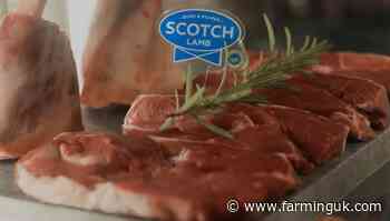 Value of Scotland&#39;s red meat exports reach over &#163;100m for first time