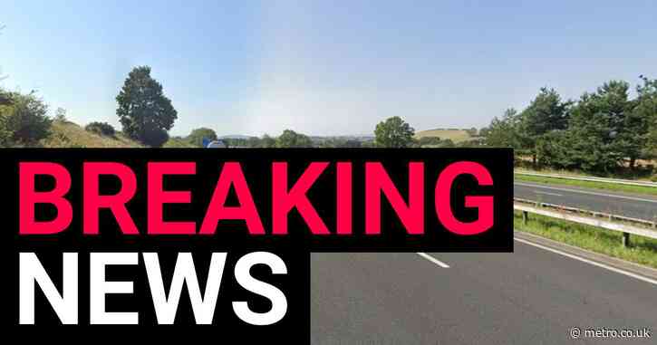 Two children among five people killed in M6 crash