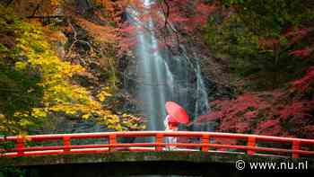 Toeristen in Japan geven in negen maanden meer uit dan in heel recordjaar