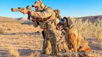 Dogs serving on army front line to get £3million kit upgrade including new shoes, blast googles and ear muffs