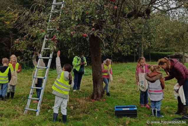 “Veel kinderen hadden nog nooit een appel geplukt”: leerlingen kunnen geluk niet op tijdens plukmoment voor het goede doel in boomgaard van middeleeuws kasteel