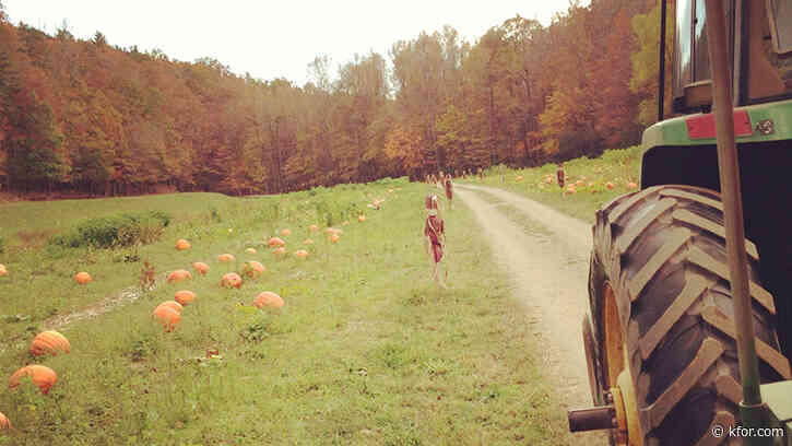 2 children dead after accidents at separate Halloween haunted hayride events