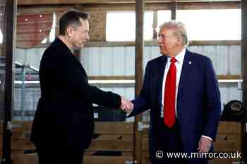 Elon Musk donates $70m to Donald Trump election campaign because he wants a 'centrist' government