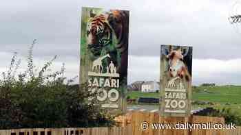 Harrowing images reveal scale of alleged animal abuse at Britain's 'worst zoo' where 500 animals died and keeper was mauled to death