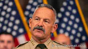 Sheriff slams 'odd' defamation lawsuit filed against him by man arrested at Trump rally 'assassination scare'