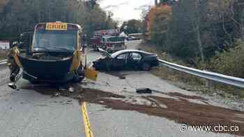 Police probe school bus, car collision in Saint John