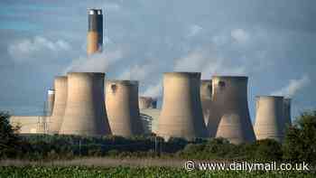 Britain's green power plant in north Yorkshire burnt wood from protected forests in Canada for fuel, leaked emails claim