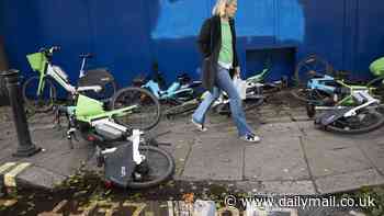 Why the tide might finally be turning on the Lime bike 'menace': HARRY WALLOP discovers a growing rebellion on London's streets