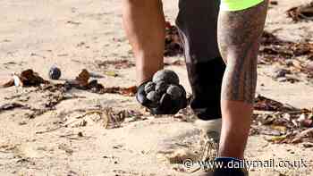 Maroubra, Clovelly, Gordons Bay, and Coogee beaches closed over black tar balls