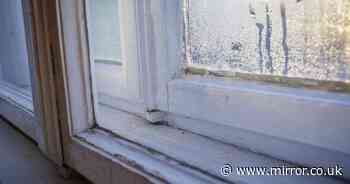 Stop condensation on windows with 'life saver' item which prevents mould