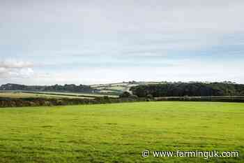 Farmland values remain high despite autumn budget uncertainty