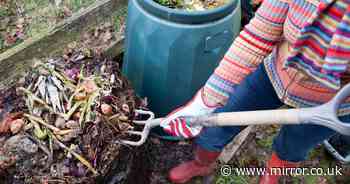 Three key garden tasks you must do this month - or suffer consequences next year