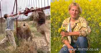 Experienced 'lion whisperer' mauled to death after making fatal mistake at zoo