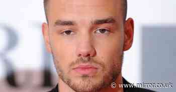 Liam Payne's poignant five-word admission about son Bear before tragic death